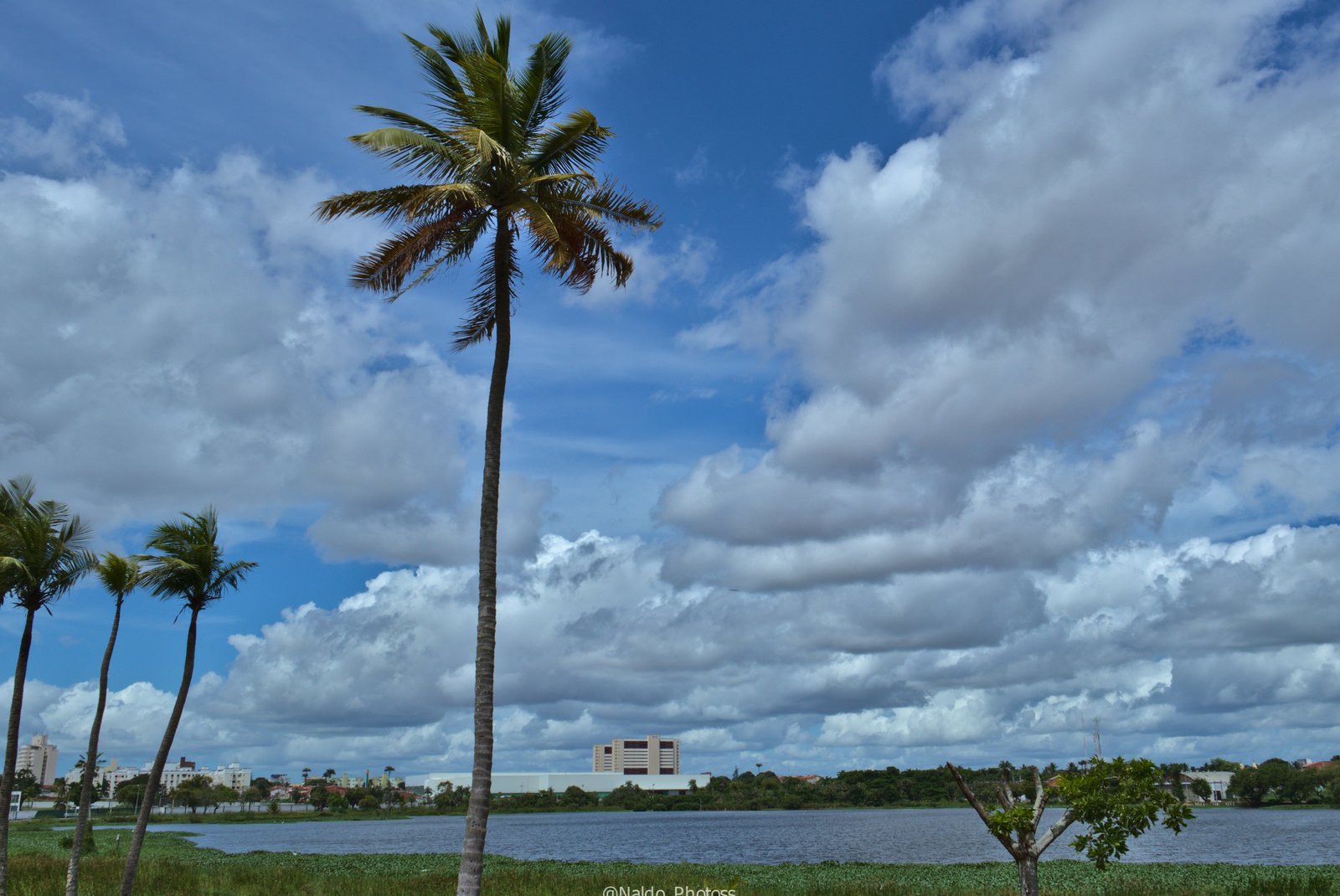 Parque das Garças.